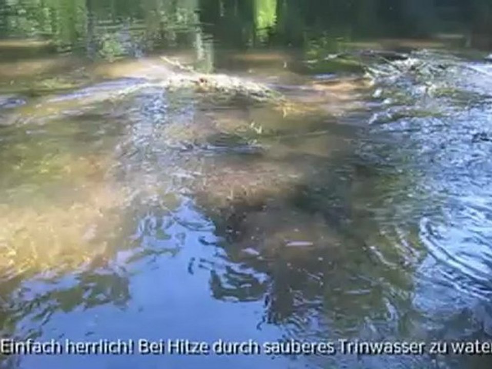 A2-B1-DSH-Vorbereitung Thema Wasser