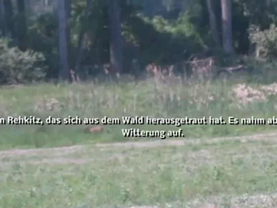 A1-A2 Grammatik Kap. 13 Relativsatz Rehkitz oder Reh