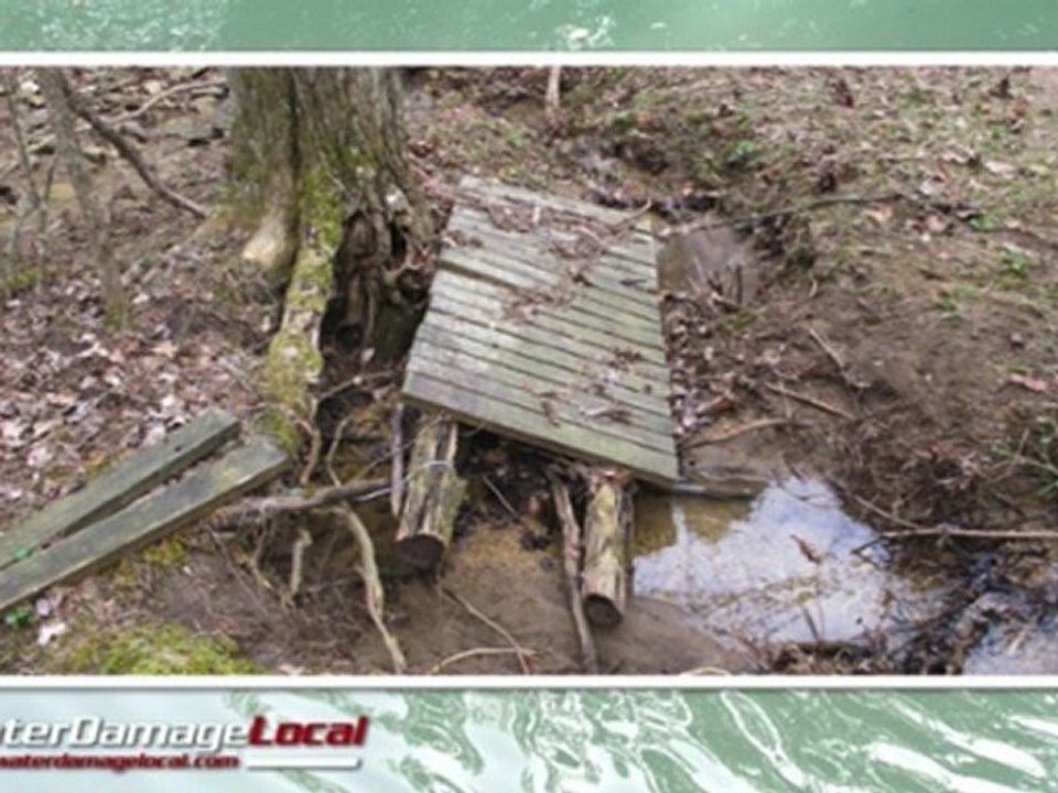 Berwyn Flood Clean Up