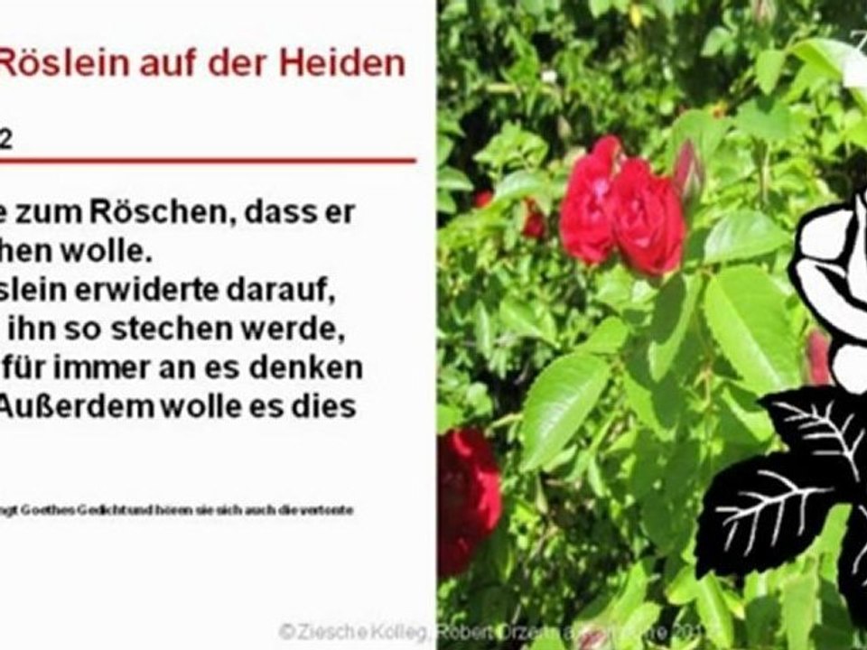 A2-B1 Roeslein auf der Heiden modern S.02