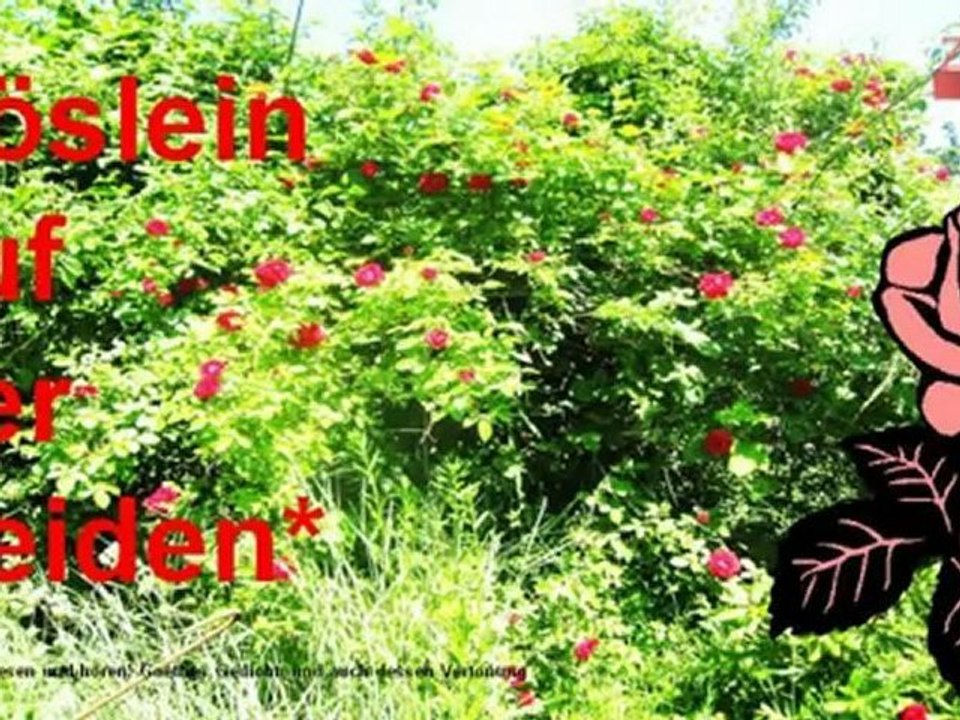 A2-b1 roeslein auf der heiden dialog s.01