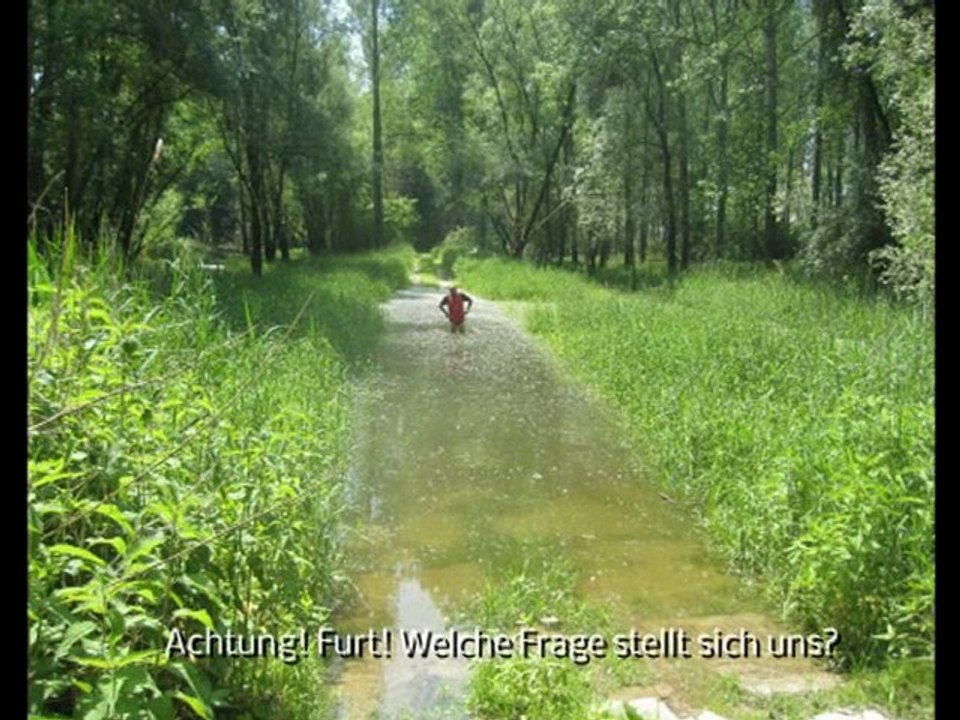 A2-B1-DSH-Vorbereitung  Textproduktion Furt durch oder zurüc