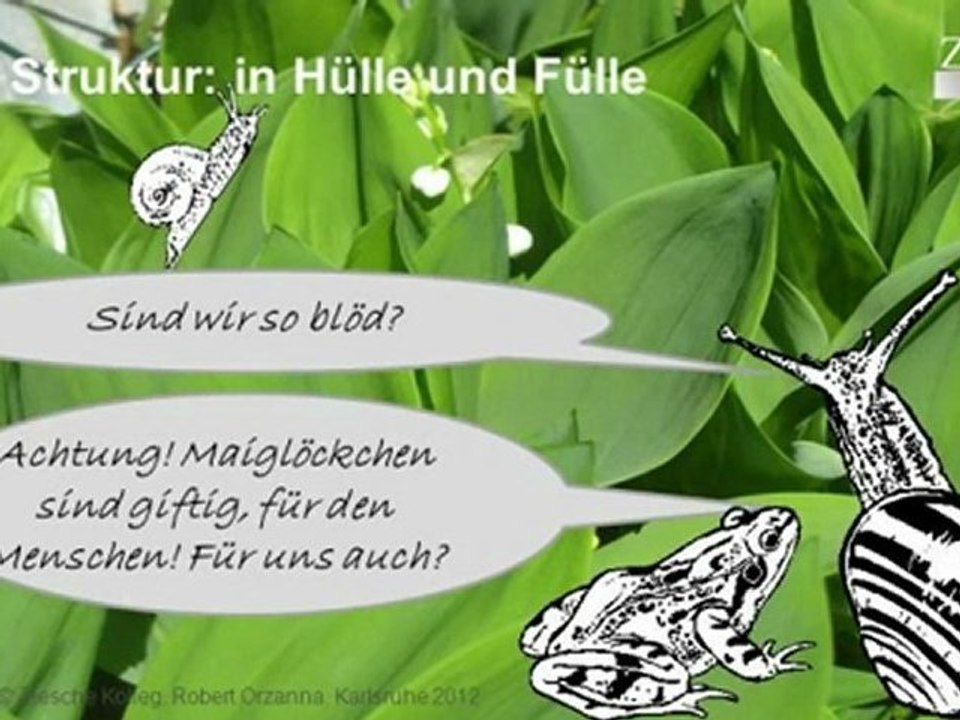 Achtung! Giftig! Maiglöckchen