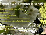 A2-B2 Hoffmann von Fallersleben zum Frühling S.04