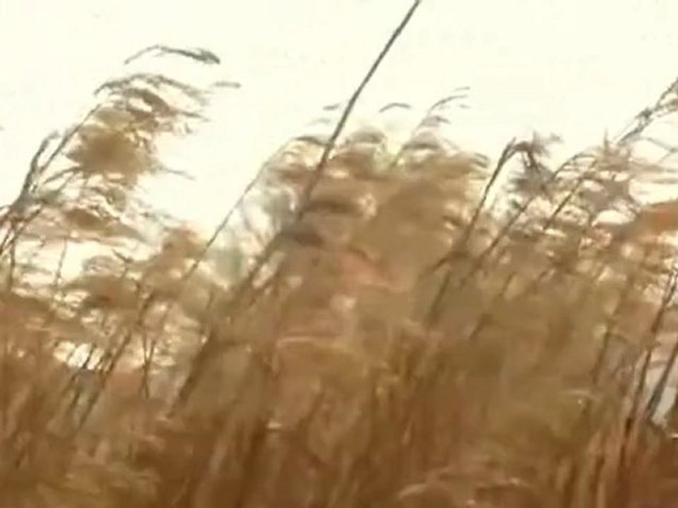 A2-c1 redewendung der wind dreht sich