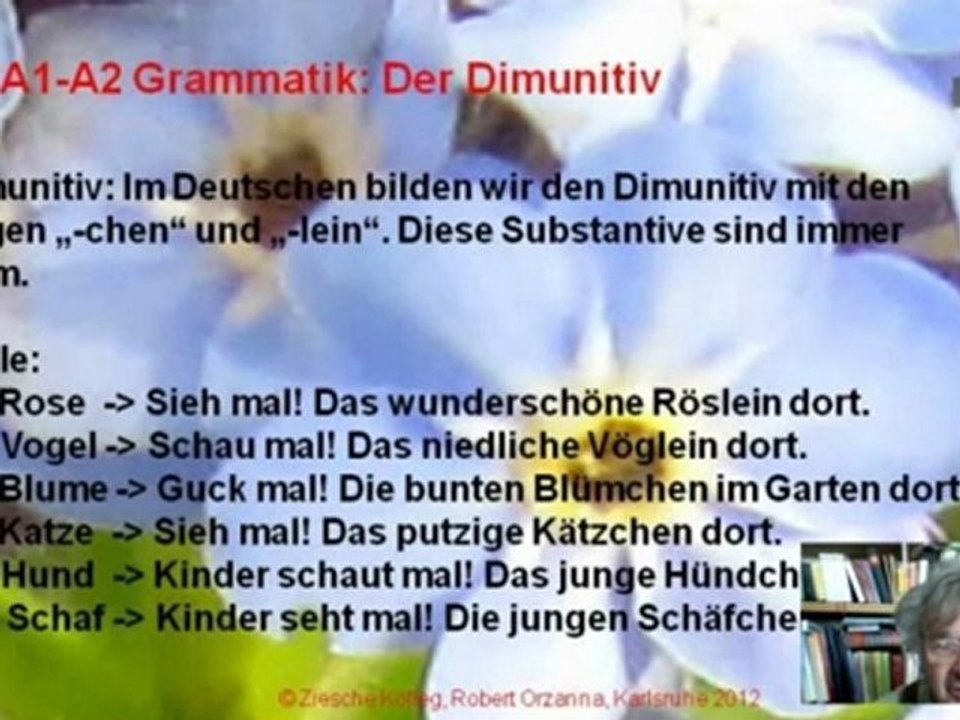 A1-A2 Grammatik Der Dimunitiv Fallersleben Vergissmeinnicht