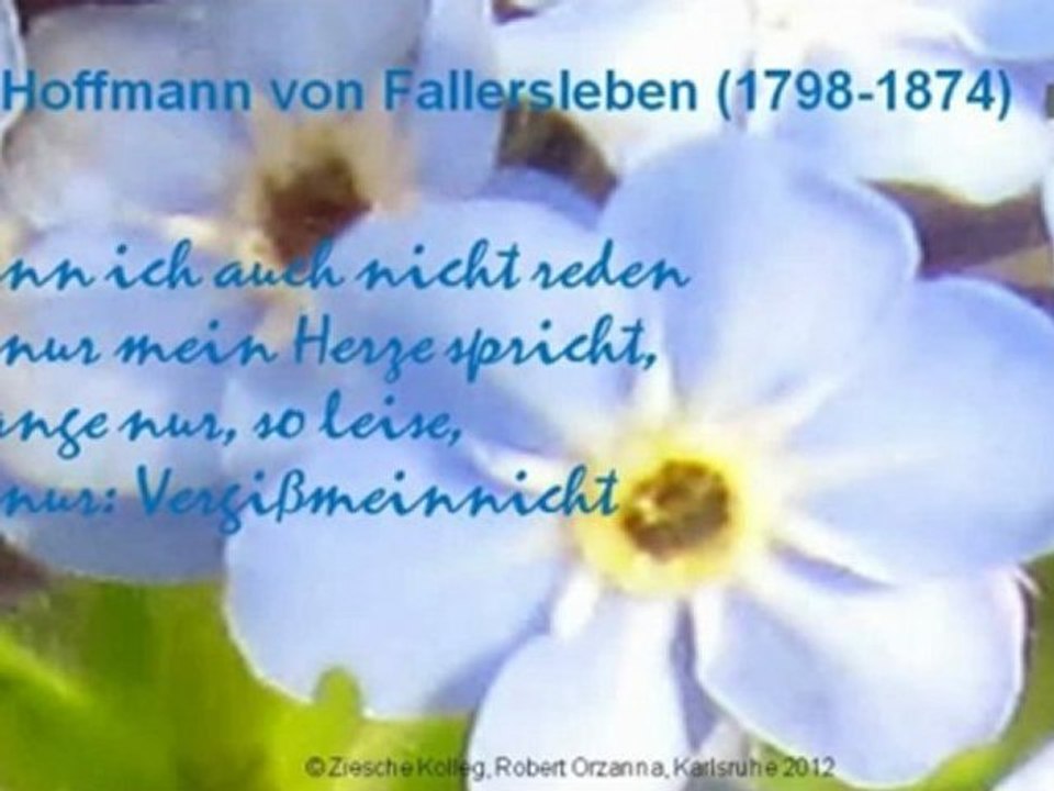 A1-A2 Lese- und Hörverstehen Fallersleben Vergissmeinnicht S