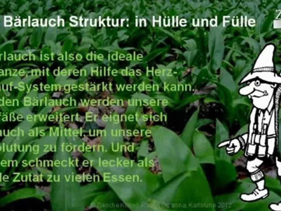 A1-A2 Lese- und Hörverstehen Bärlauch in Hülle und Fülle S.0