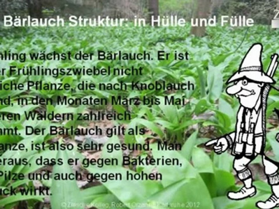 A1-A2 Lese- und Hörverstehen Thema Bärlauch S.01 in Hülle un