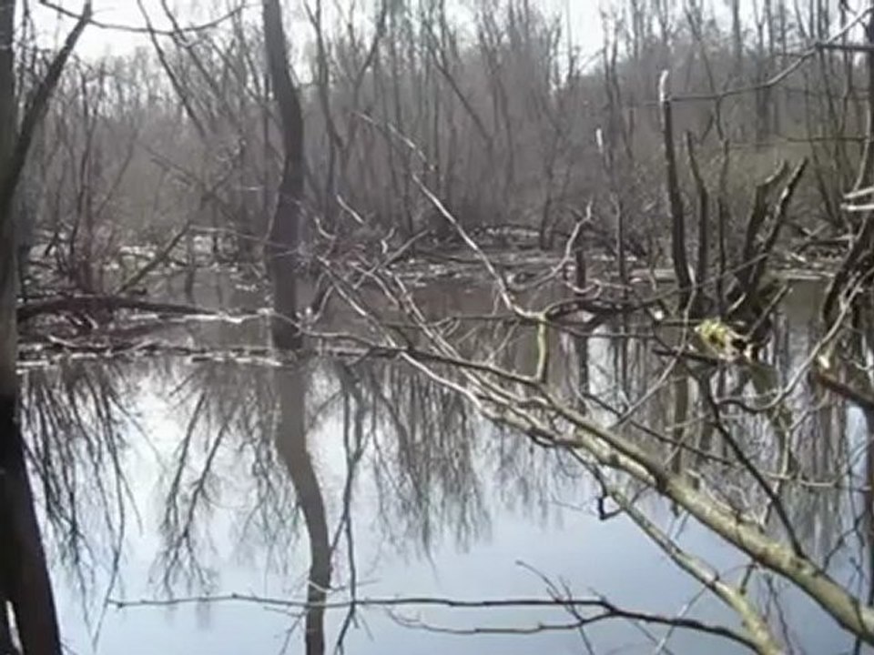 B2-C2 Textproduktion Naturschutzgebiet