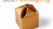 Mini boite carrée | Comment faire paquet cadeau 1615 de SelfPackaging