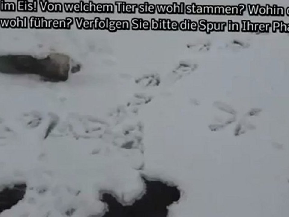 B2-C2 Textproduktion Spuren ...