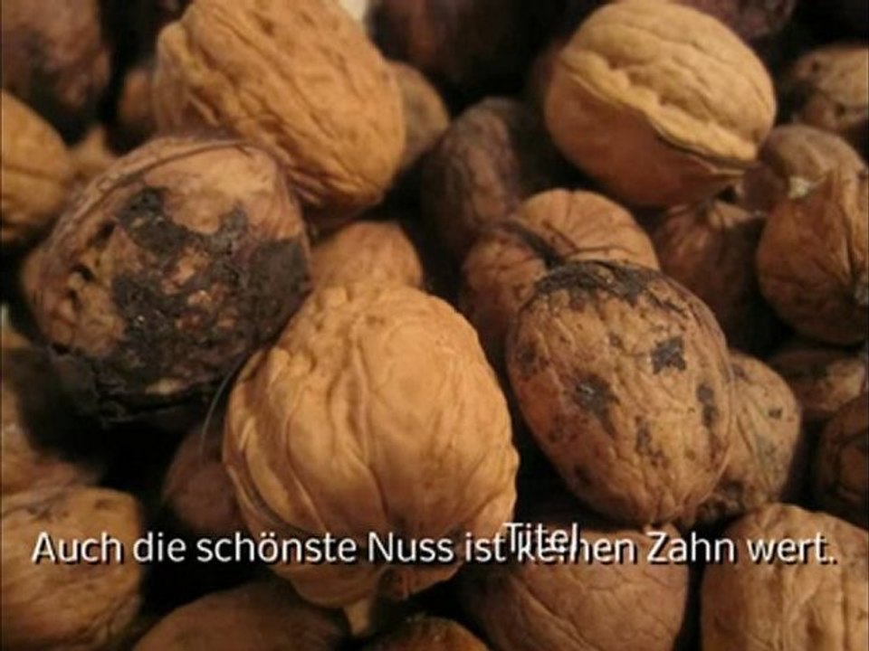 B2-C2 Leseverstehen Redewenungen harte Nuss zu knacken scöne Nuss