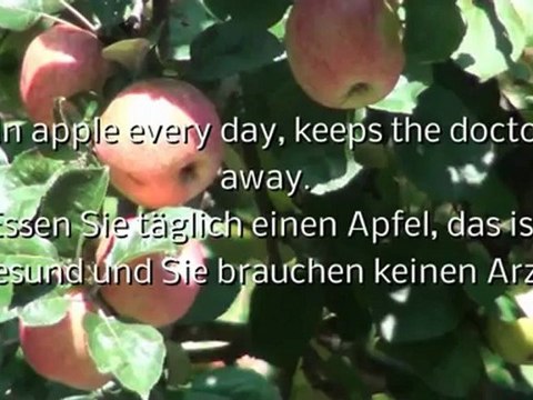 A1-A2 Leseverstehen Jeden Tag ein Apfel ...