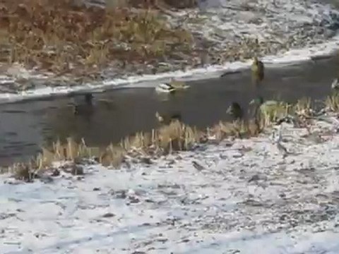 A1-DSH-Vorbereitung Textproduktion Wintereinbruch im Schloss