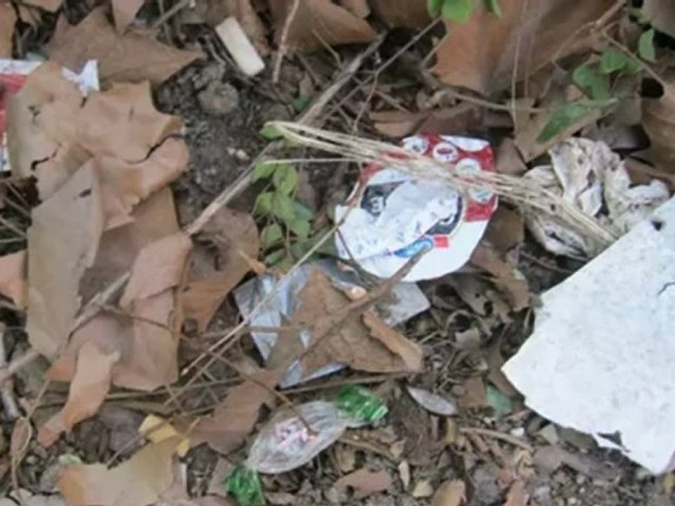 A2-DSH-Vorbereitung Textproduktion einfach weggeworfen