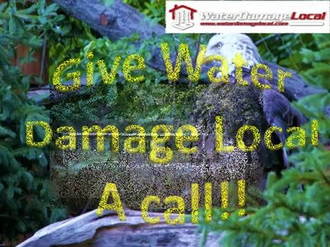 Pearland, Texas Local Flood Damage Restoration