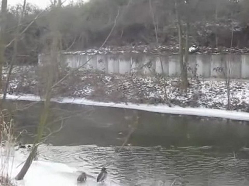 A1-A2 Hörverstehen Kommt!