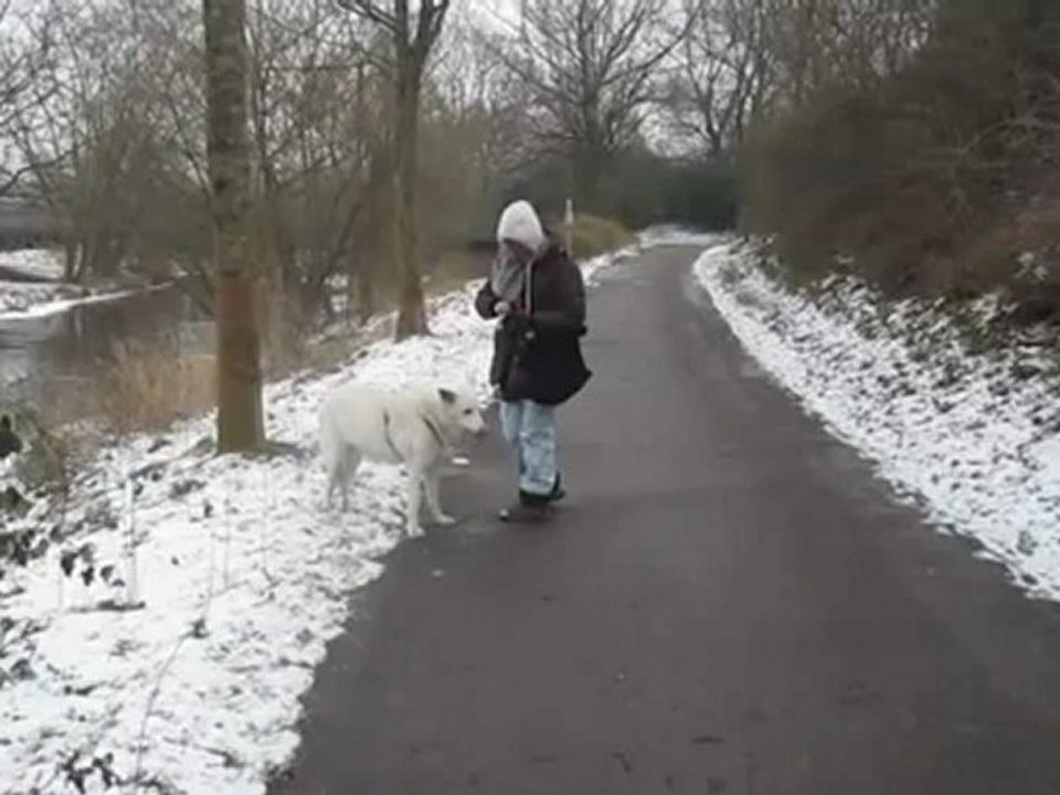 A1-B2 Hörverstehen und Textproduktion Ben wird verwöhnt