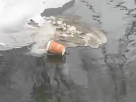 A2-B2 Höerverstehen und Textproduktion einfach weggeworfen