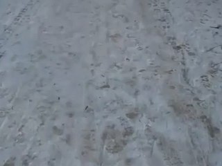 A1-B2 Hörtext zum Verb knirschen