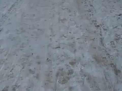 A1-B2 Hörtext zum Verb knirschen