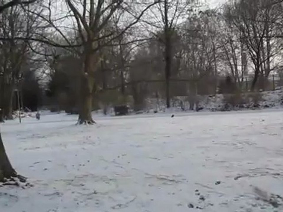 A1-B2 Textproduktion Wintereinbruch Krähe fliegt weg