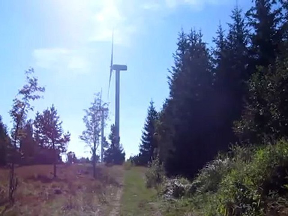 A1 Auf der Hornisgrinde Hörtext 01
