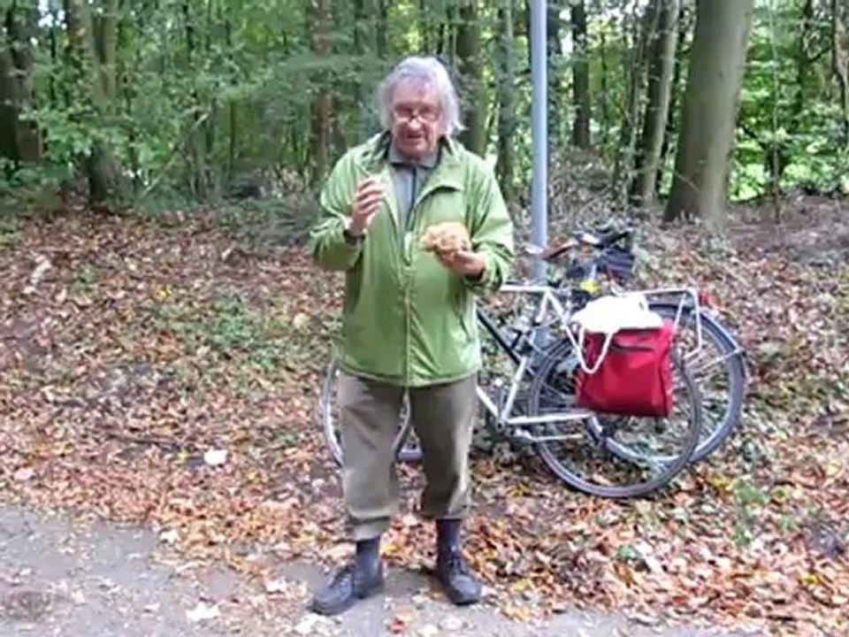 A1 Thema Pilze und Essen Krause Glucke gefunden Tips fürs Essen