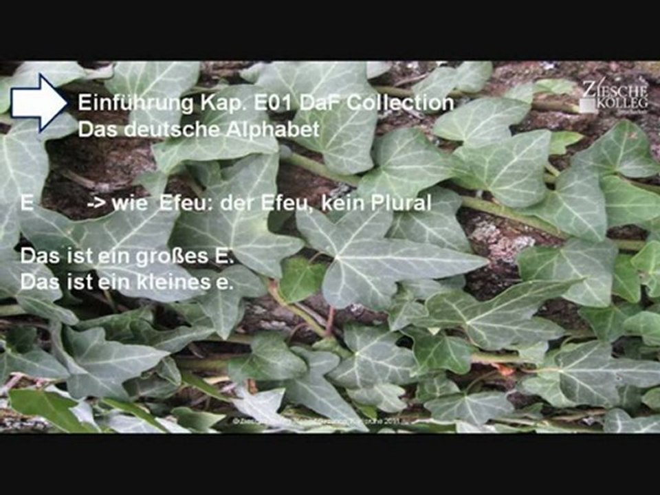 Kap. Einführung 01  Das deutsche Alphabet E wie Efeu