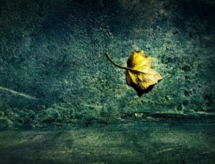 ALIŞIRIM.. güzel bi slow..