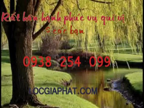 Cung cấp giấy dán tường quận bình thạnh call 0938 254 099