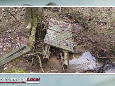 Bolingbrook Basement Flooding Clean Up