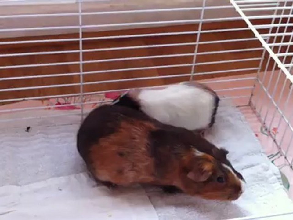 Moka rencontre Eliott