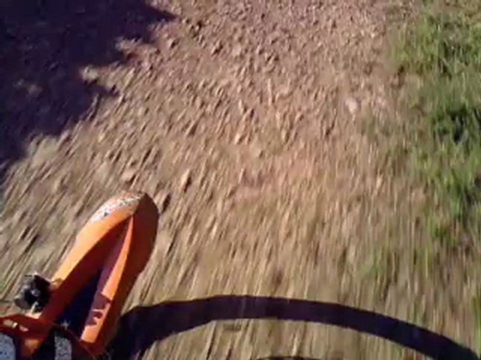 cam embarker dans les bois