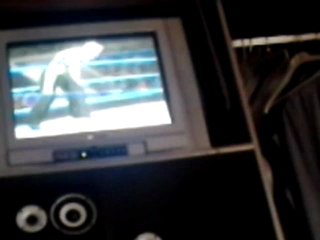 Smackdown vs raw 2007-Sisty vs Sky Hell in cell