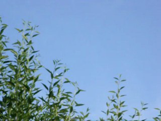 BruléParlesilluminés – Avions 2 – Grand virage après passage au-dessus – Mai 2012