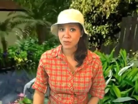 Achla Designs Bird Bath Black Powdercoat Small Tripod Stand for Birthbaths & Feeders Review