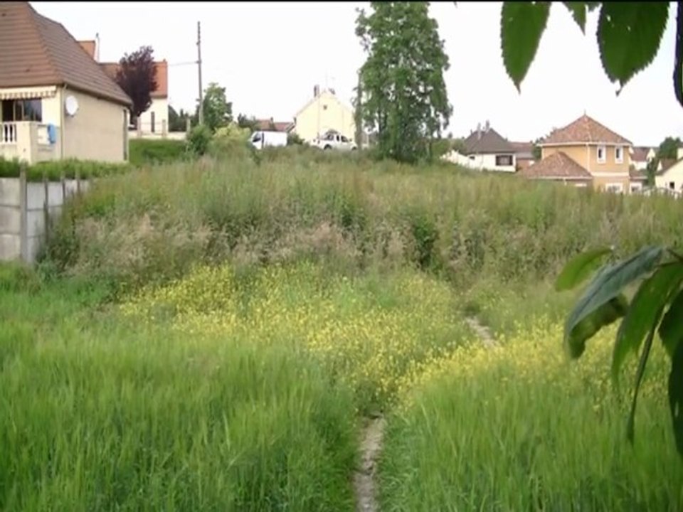 Allez Viens : la réponse