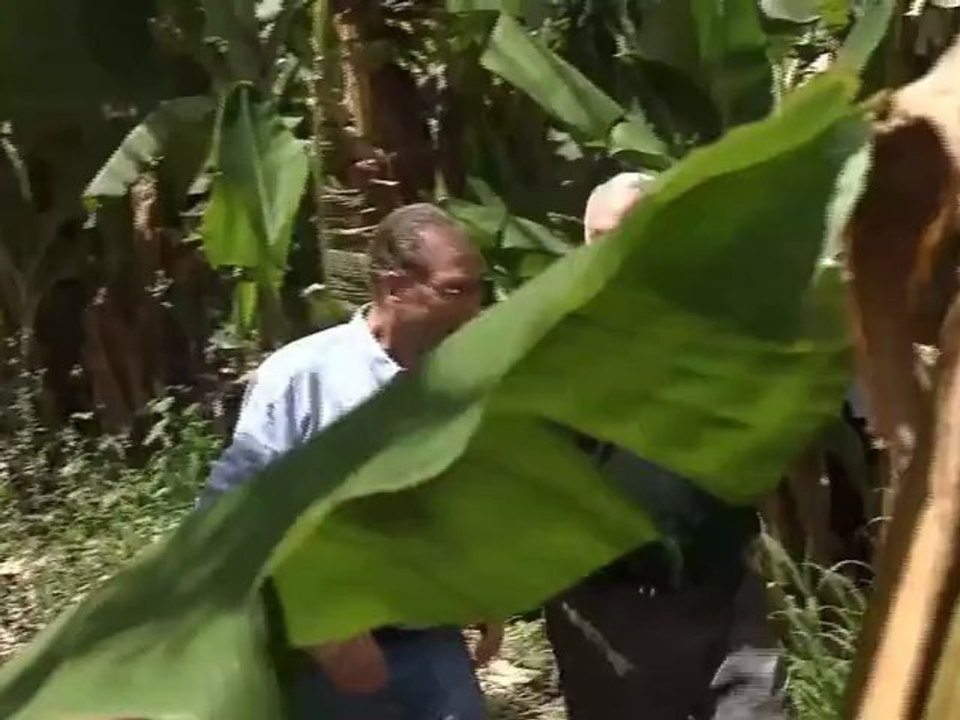 نتنياهو كمرشد سياحي
