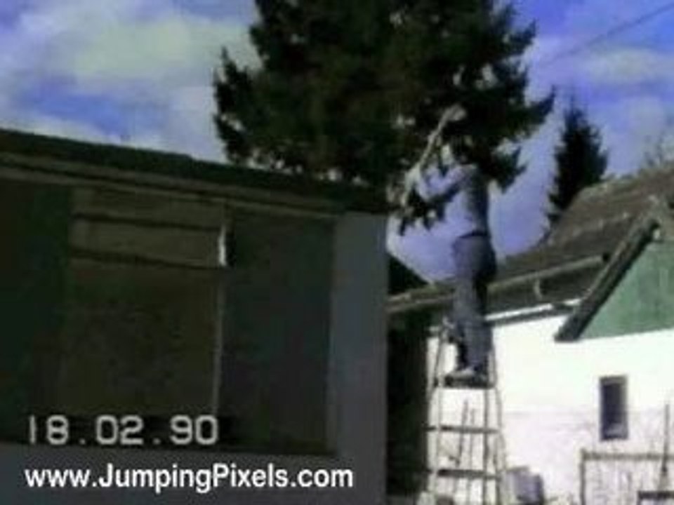 Stupid Ladder Accident