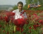sürü-tvprogramı-jeneriği-türkiyemtv