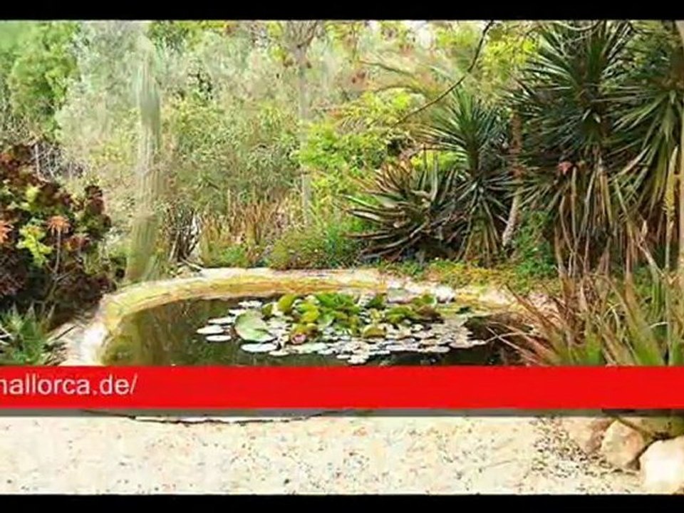 Ferienhaus/ Finca Mallorca TKH1419