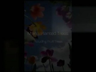 Boise Luxury Homes - Home For Sale