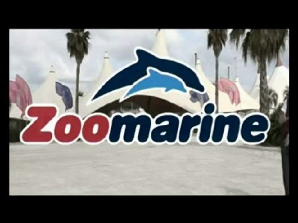 ZOOMARINE: 100 delfini rapiti e 23.000 uccisi ogni anno per i Parchi Acquatici