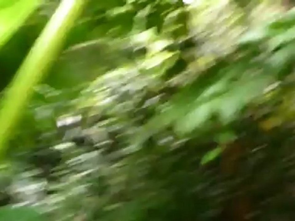 Perdu sur une île deserte