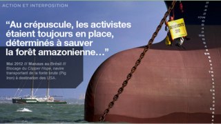 Amazonie : le Rainbow Warrior en action contre la déforestation