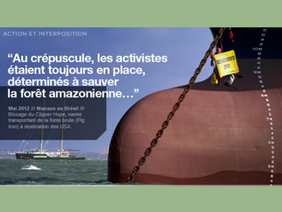 Amazonie : le Rainbow Warrior en action contre la déforestation