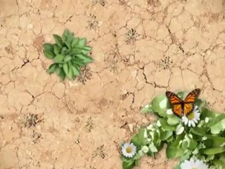 Vigrx Plus Ingredients