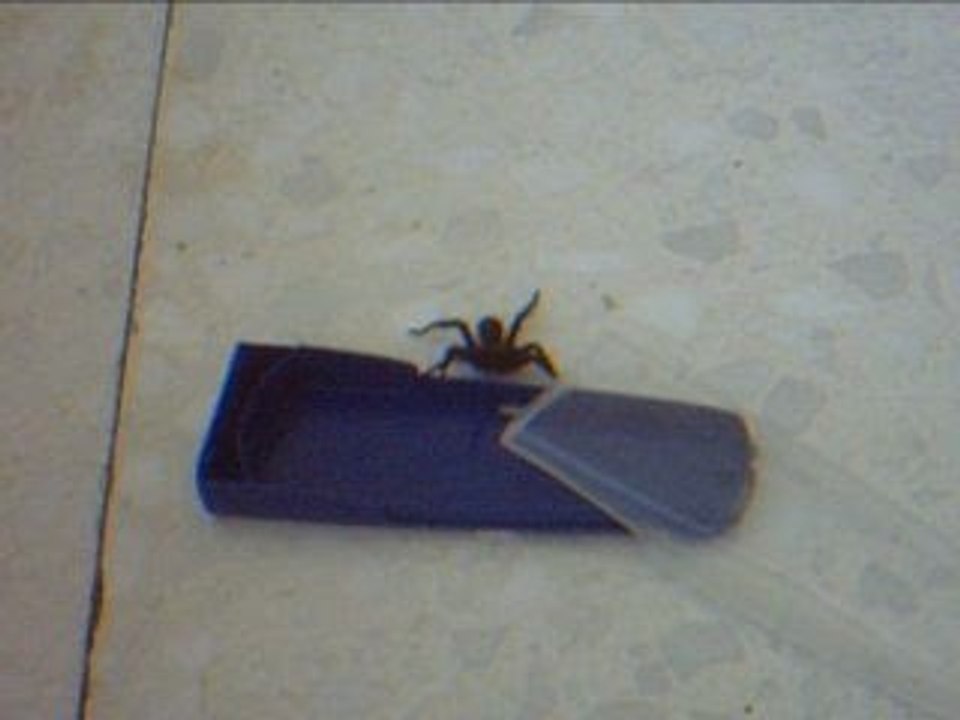 IMG00003